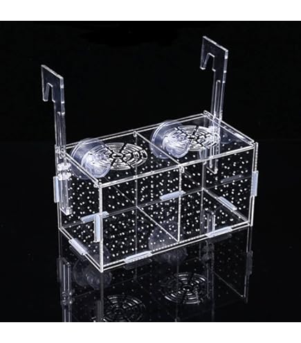 Amazon | YAARUJEE 水槽 稚魚 隔離ケース メダカボックス 仕切り